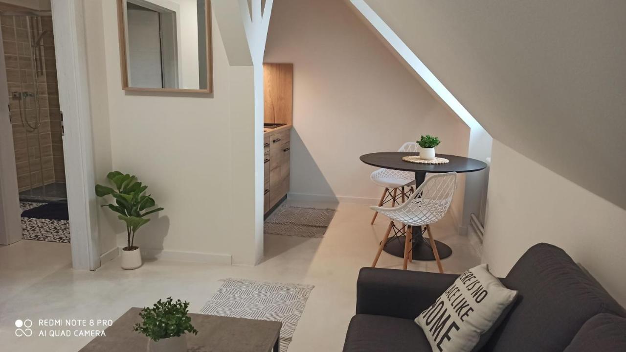 U Zlate Hvezdy Apartman Jungmann Apartment Litoměřice Exterior foto