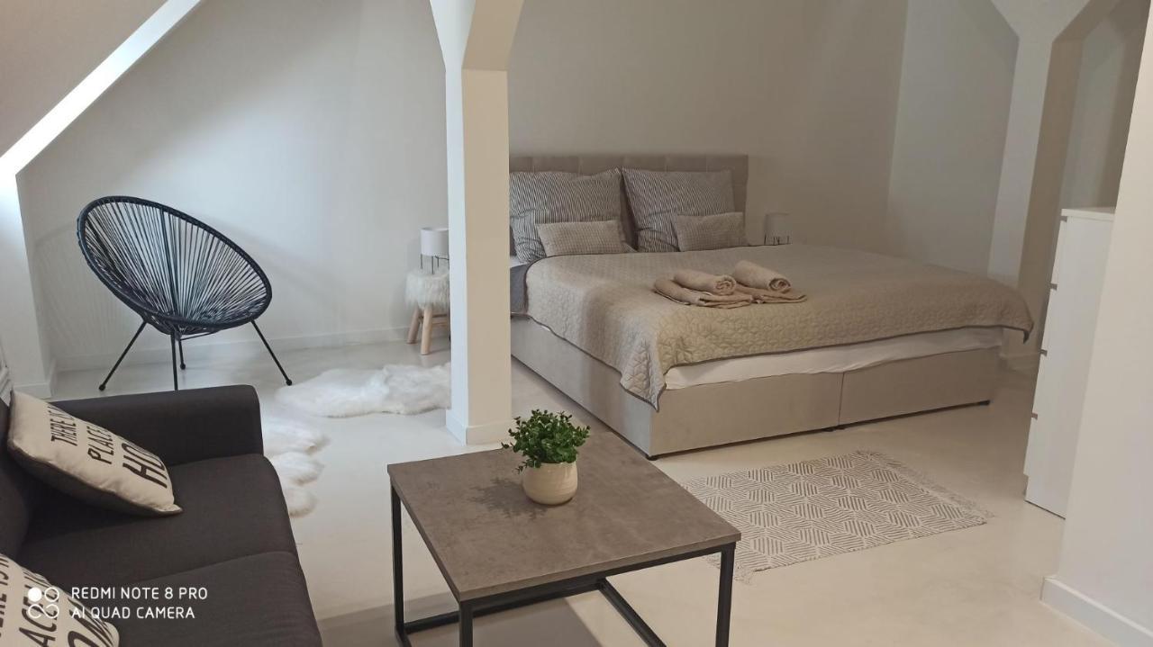 U Zlate Hvezdy Apartman Jungmann Apartment Litoměřice Exterior foto